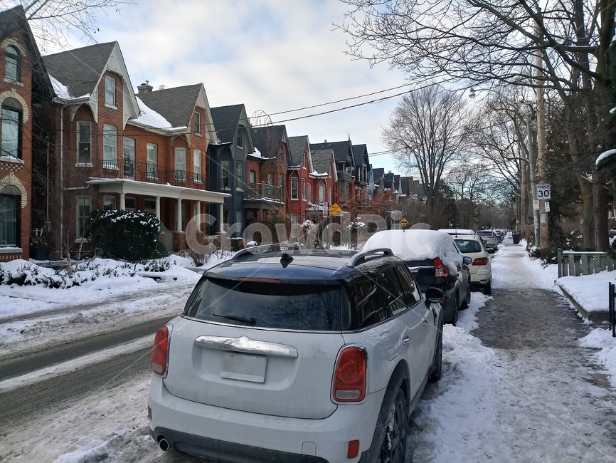 캐나다,길거리,집,외국집,주택,눈,길거리주차,snow,canada,tree,house,street,car