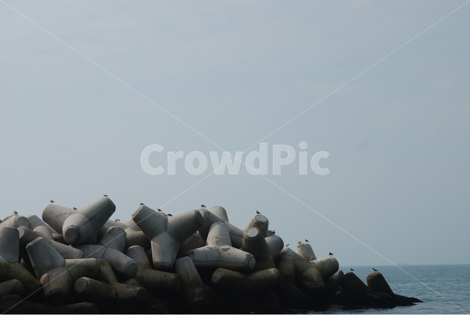 갈매기,방파재,바다,새,해안,자연,풍경,nature,landscape