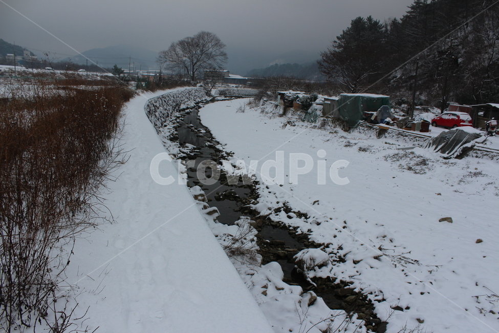 겨울,겨울풍경,눈,분위기,snow,겨울아침,시골풍경,한겨울,snowing,풍경,자연,landscape,계절,색감