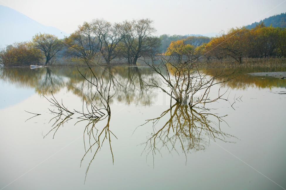 자연,nature,물,water,outdoors,주남저수지,반영사진,가을,단풍