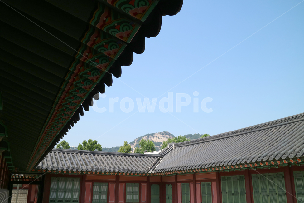 고궁,궁전,한국전통,한국,건축,건물,동양건축,전통가옥,한옥,문화재,전통,민속,한국의고궁,지붕,처마,단청,한국전통,한국문화,korean traditional,korean culture,건축물,건물외관,exterior,building,structure,architecture,construction