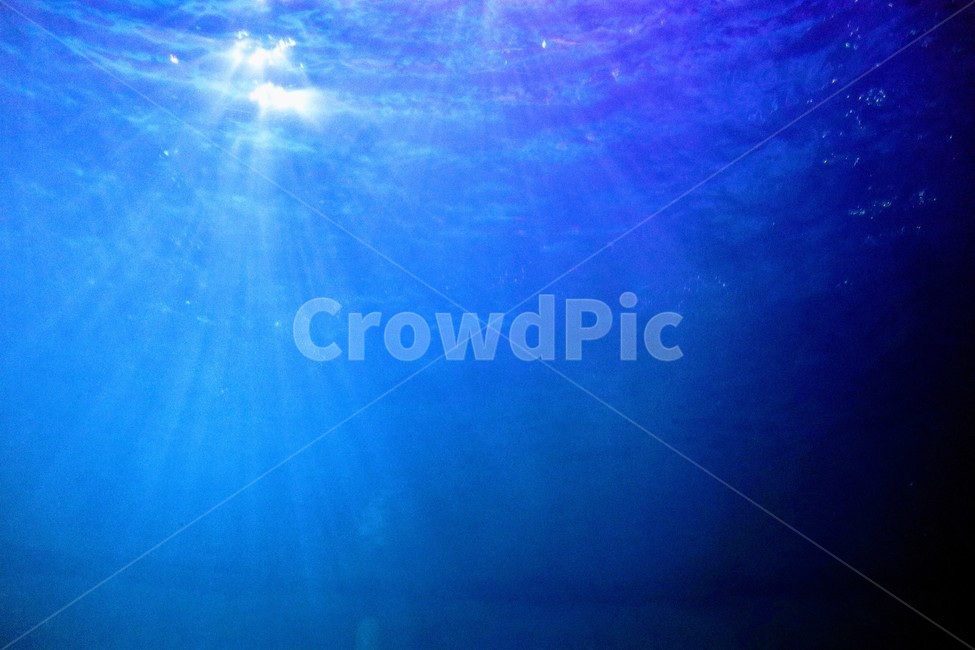 물,수중,잠수,바다,심해,sea,물속,water,워터,수족관,아쿠아리움,빛,빛내림,수조,바다속,바닷속,자연배경,웅장함,신비,자연,풍경,nature,landscape