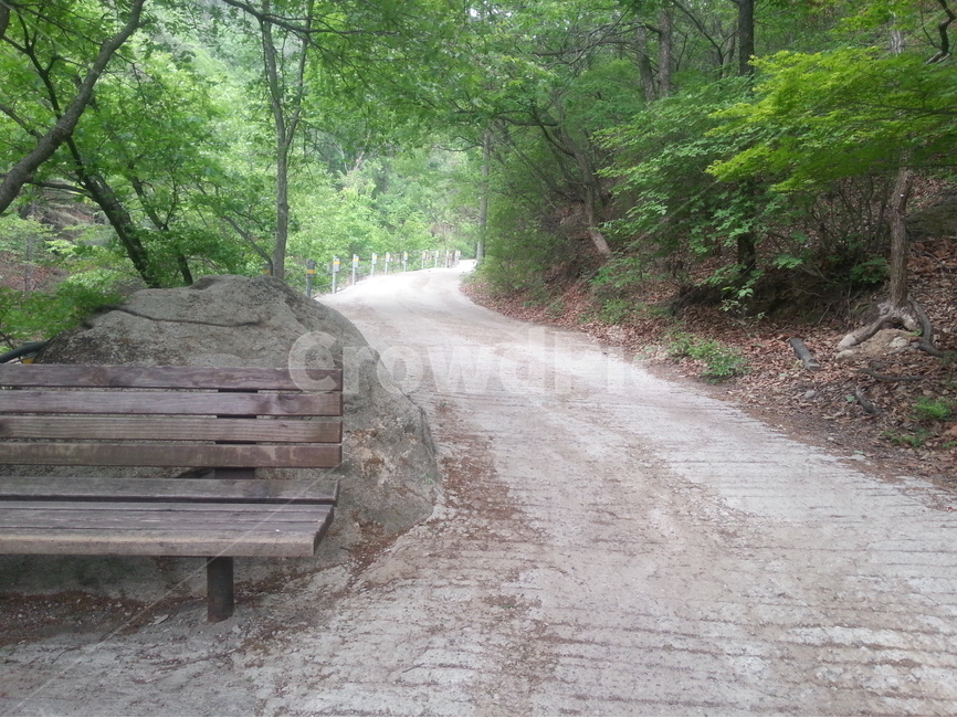 길,의자,숲,산책,산,bench,road,forest,tree,wood,mountain,휴식,자연,풍경,nature,landscape,도로,gravel,자갈,dirt road,흙길,벤치
