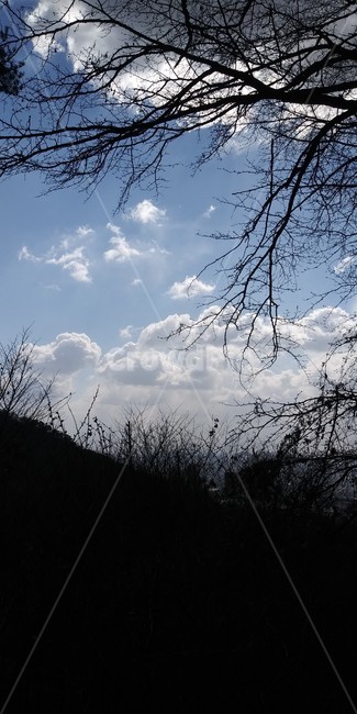 하늘,구름,겨울,자연,풍경