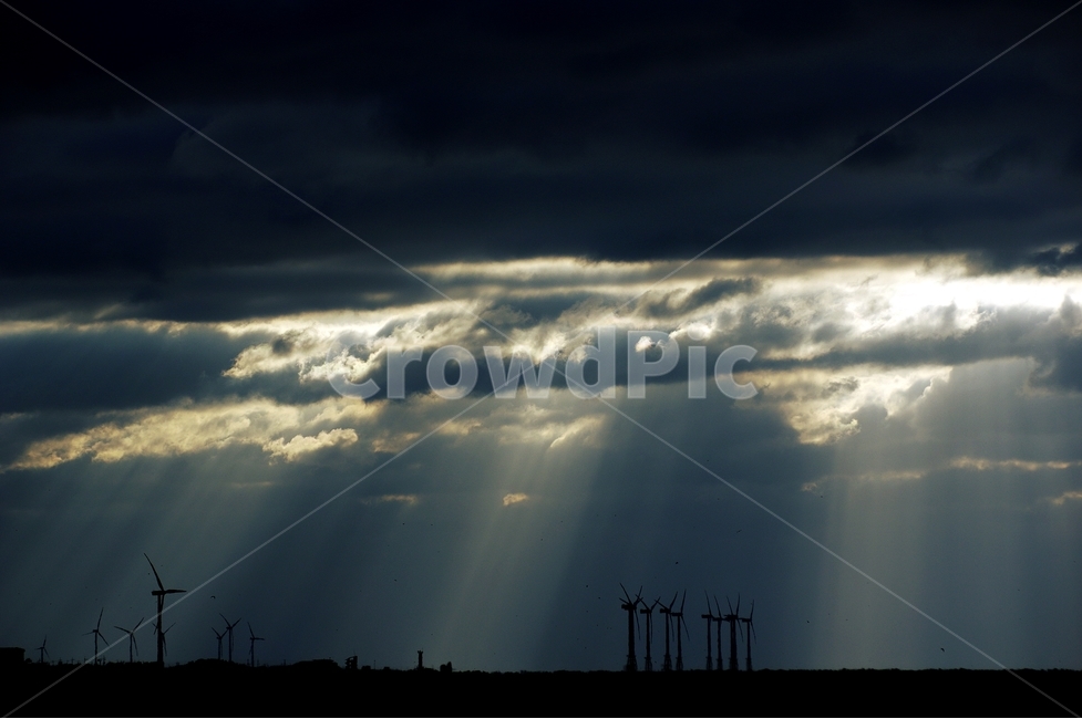 바다,갈매기,바람,일몰,제주,겨울,자연,풍경,nature,landscape,flare,플레어,light,빛,sunlight,햇빛,weather,날씨