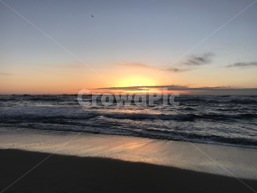 water,자연,노을,sunset,미국,라호야,beach,wave,파도,해변,해변,바다,beach,sea
