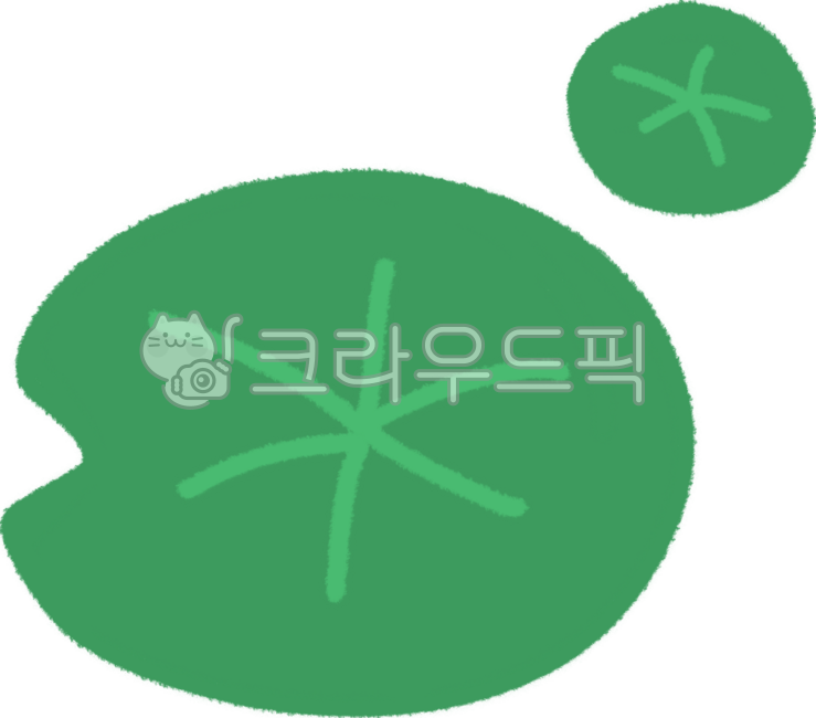 연꽃, 연잎, 꽃, 식물, 잎, 사진,이미지,일러스트,캘리그라피 - 오웃작가