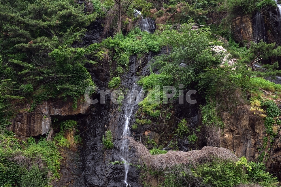 폭포,자연,물,시원함,인공,바위,풀,waterfall,nature,water,cool,여행,산,풍경,landscape,river,outdoors,풍경사진,낙수,암반,낙하,폭포마당,서대문폭포마당,물줄기,장노출,암벽,자연,풍경,nature,landscape,outdoors,옥외,river,강