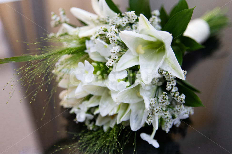 꽃,백합,부케,결혼,신부,꽃,flower,결혼,혼례,웨딩,wedding,marriage,marry,기념일,축하,anniversary,congratulation,celebrate,celebration