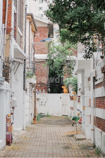능소화,길거리,골목길,동네,여름,감성,골목길,alley,빈티지사진,빈티지느낌,빈티지감성,vintage,town,도시,road,도로,city,시티,street,거리,building,건물,urban,어반,flagstone,판석