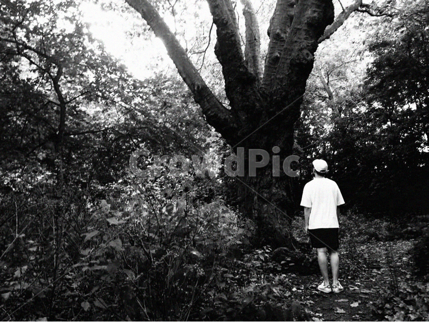흑백사진,흑백,숲,나무,자연,식물,자연,plants,nature,나무,trees,wood,사람,인물,인간,human,person,남성,남자,man,male,흑백,모노톤,monochrome,black and white