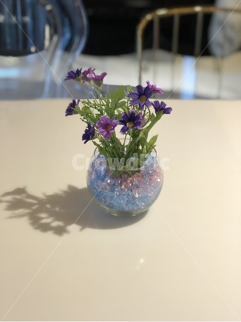 조화,꽃병,병,꽃,플라워,화병,드라이,감성,카페,cafe,감성사진,인테리어,실내용화초,화분,화초,house plant