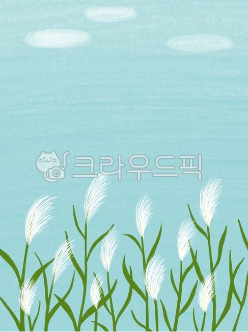 억새,가을,하늘,억새밭,구름,갈대,배경,배경일러스트,억새일러스트,갈대일러스트