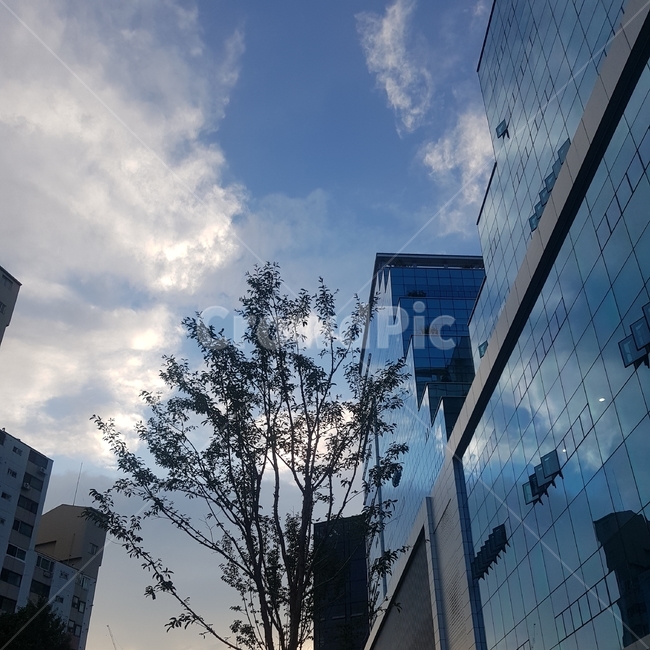 사무실건물,건물,빌딩,도시,도시빌딩,city,building,officebuilding,sky,하늘,푸른하늘,유리창,window,도시,풍경,city,landscape