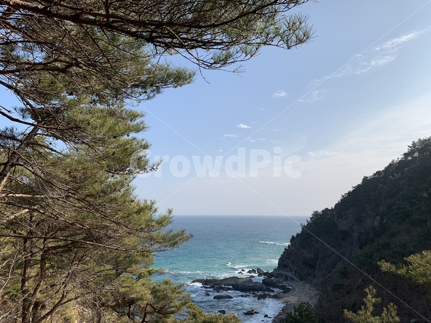 바다,강릉,동해,하늘,자연물,자연,풍경,nature,landscape,tree,나무,plant,식물,promontory,곶