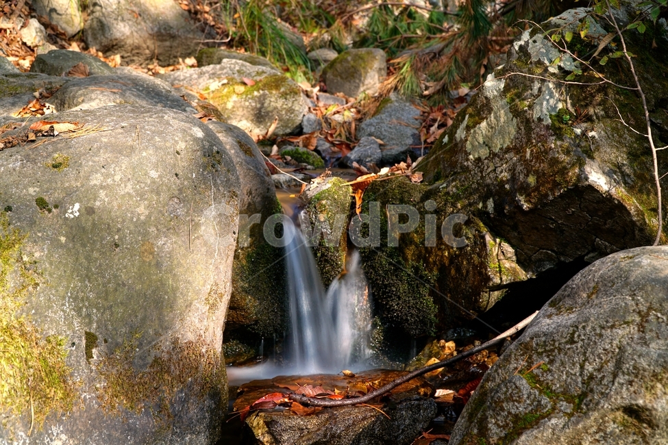 계곡,무지랭이계곡,경기도,경기북부,의정부,자연,가을,autumn,fall,11월,낙엽,물,water,나무,바위,돌,암석,tree,nature,rock,valley,한국,한국자연,korea,november,leaves,가을,계절,fall,autumn,season,자연,풍경,nature,landscape,outdoors,옥외,river,강,waterfall,폭포