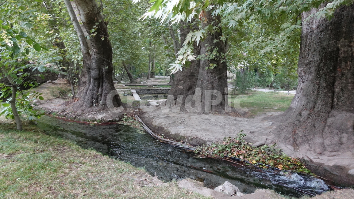lake,호수,연못,자연,nature,blue,파랑,나무,tree