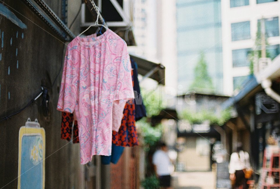 빨래,clothing,의류,apparel,human,인간,사람