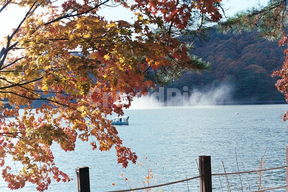 산정호수,명성산,가을,단풍,풍경,가을,계절,fall,autumn,season,자연,풍경,nature,landscape,tree,나무,plant,식물,water,물