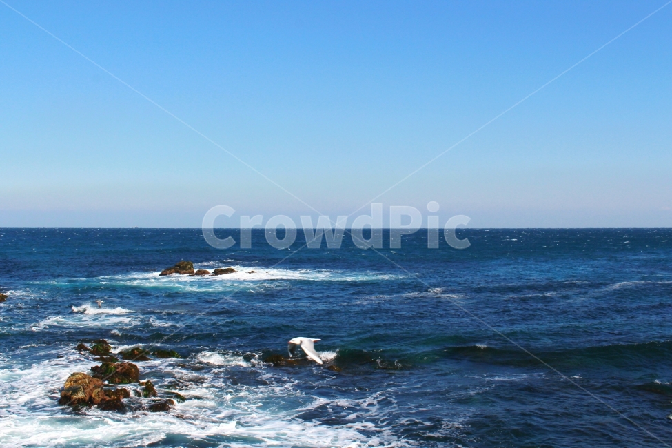 풍경,감성사진,자연,여행,바다,겨울,겨울바다,청량,winter,sea,sky,파도,자연,풍경,nature,landscape,동물,animal,조류,새,birds,promontory,곶,outdoors,옥외,ocean,대양,water,물,architecture,건축물,building,건물,tower,탑
