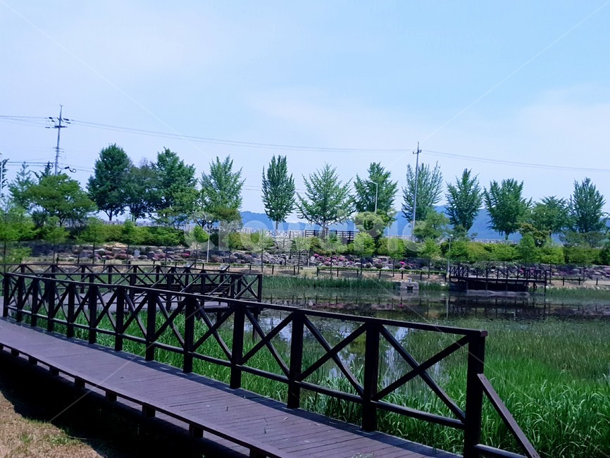 호수,저수지,산책로,청아함,시원함