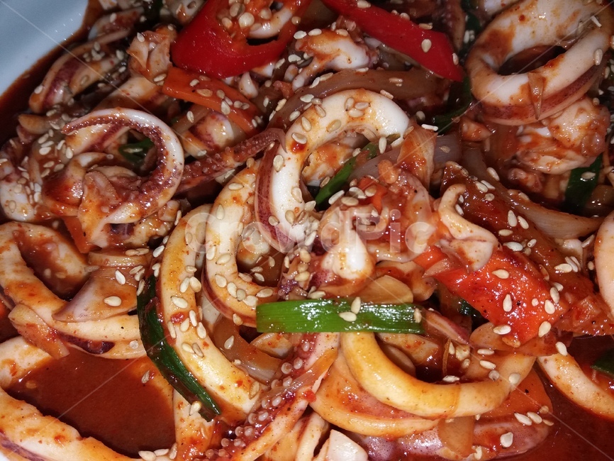 오징어볶음,오징어,접시,빨간고추,양파,음식,식품,요리,식사,음식,식재료,요리,food,cook,meal,dishes,food reserves,한식,한국음식,한국요리,korean food,korean dishes,korean meal,korean cook