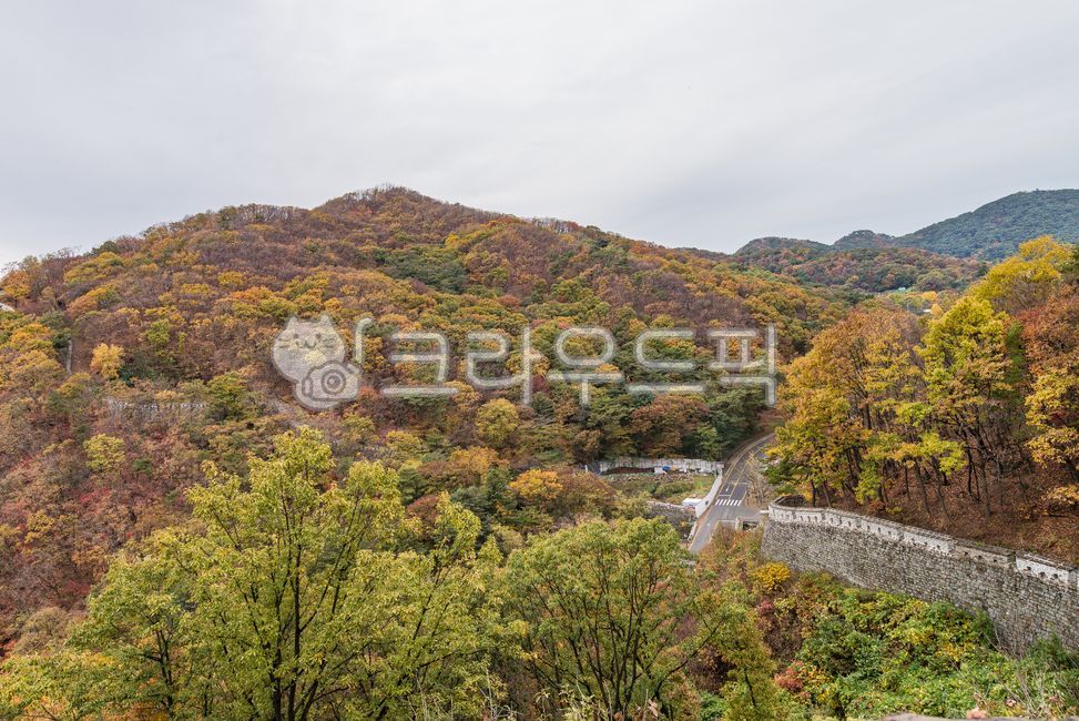 maple forest,forest,colorfully,healing,mountain,fall,sight,Korean natural scenery,season,nature,autumn background,world cultural heritage,tree,autumn scenery,Namhansanseong Fortress,outdoor,korea,outdoors,background,plant,Maple Mountain,autumn,autumn moun