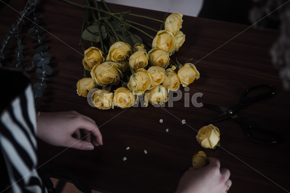 꽃,꽃다발,노란꽃,장미,선물,plant,식물