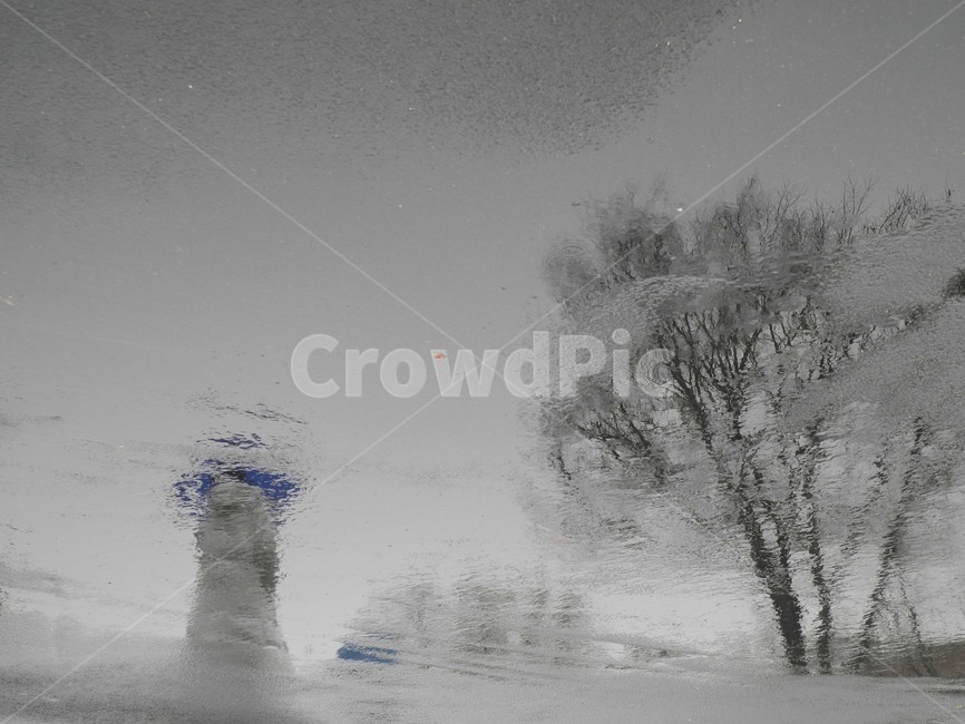 겨울비,winter,snow,눈,겨울,비,비오는날,rain,rainy