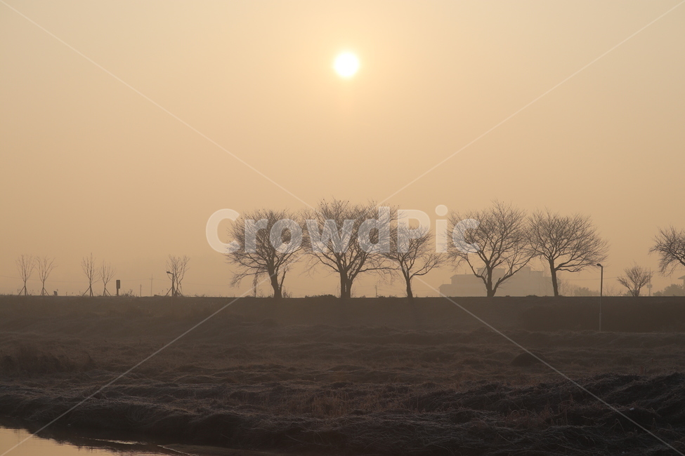 nature,자연,해,햇빛,빛,sun,풍경,일출,낮,나무
