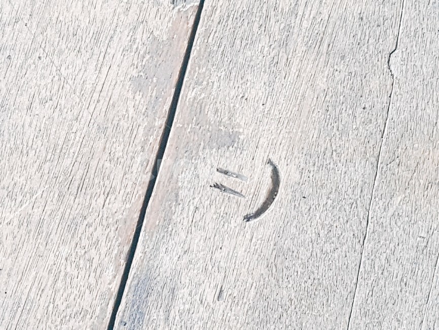 우드,스마일,표정,감성,나무,미소,자연,야외,wood,smile,nature,outdoors