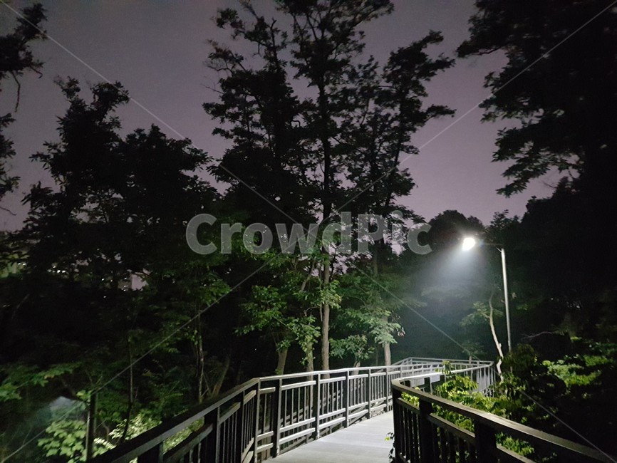 산책로,산길,새벽,나무,둘레길,밤산책,쓸쓸함,가로등,자연,풍경,nature,landscape,야경,밤,nightscape,night,railing,난간,handrail,banister,bridge,다리,boardwalk,building,건물