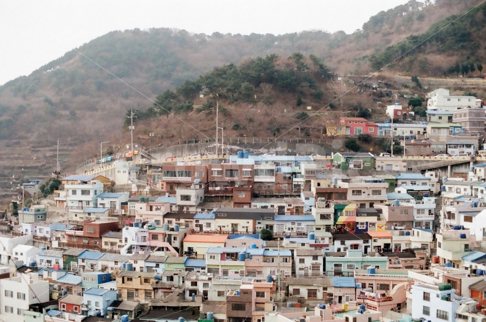 감천문화마을,부산감천문화마을,감천마을,부산,필름사진,도시,풍경,city,landscape,시골,마을,country,rural,town,urban,어반,building,건물