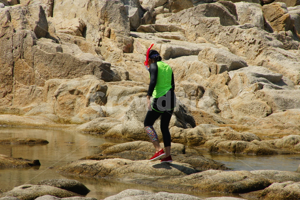 바다,여름,스노쿨링,스노클링,휴가,스노클,여름,계절,summer,season,adventure,모험,leisure activities,레저 활동