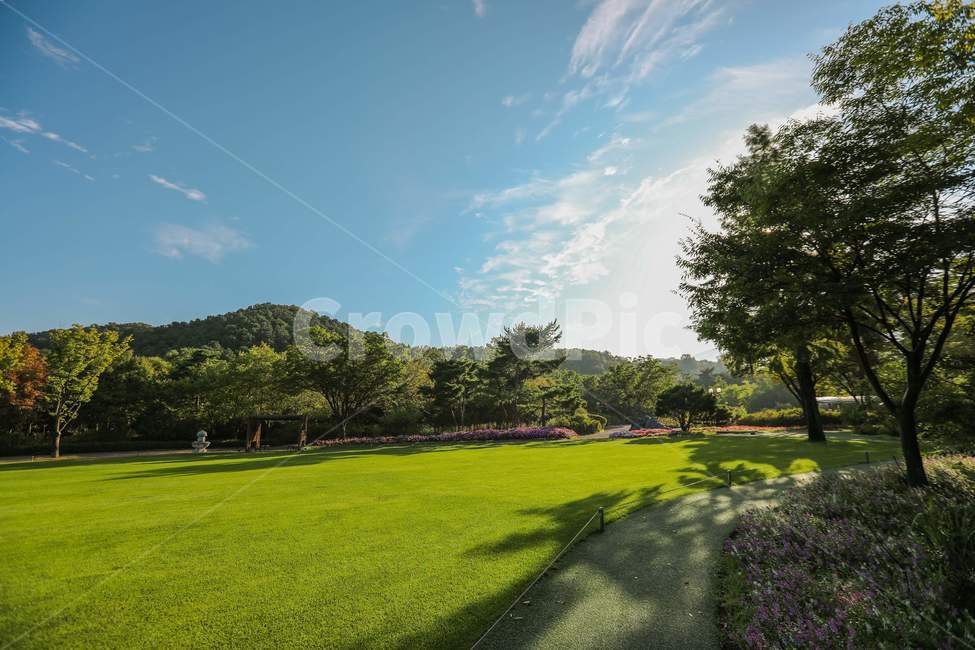 plant,식물,잔디,grass,가을,푸른하늘,bluesky,자연,풍경,nature,landscape
