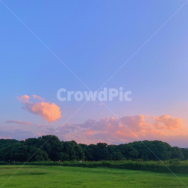 grassland,목초지,field,들,outdoors,옥외,nature,자연,경주,왕릉,릉,하늘,구름,자연,풍경,nature,landscape,한국자연풍경,한국자연경관,korea nature landscape,plant,식물,grass,잔디