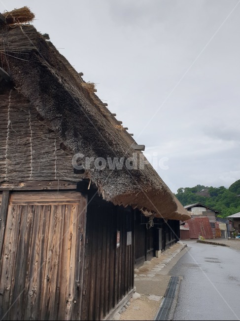 건물,building,outdoors,옥외,nature,자연,한지방,countryside,시라카와고,합장촌,시라카와고합장촌,논,집,유네스코,유네스코문화유산,세계문화유산