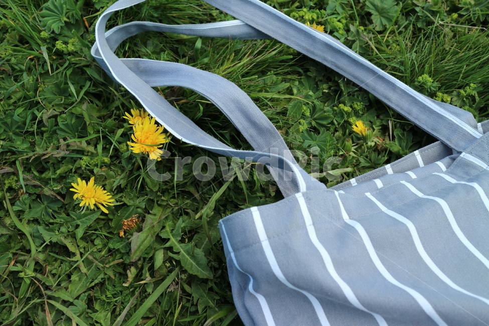 꽃,피크닉,휴가,휴식,자연,평화로운,소풍,picnic