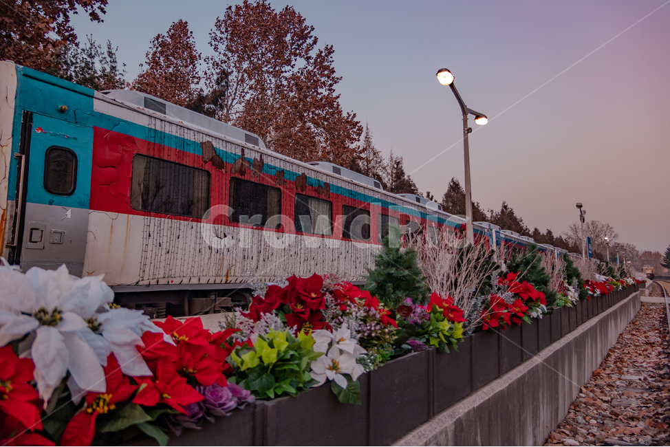 railway,노을,저녁,석양,화랑대역,교통,transportation,기찻길,조화,철도,traintrack,레일,rail,크리스마스,기차,교통,교통수단,traffic,transportation