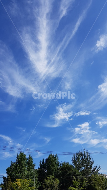 구름,하늘,파란하늘,뭉게구름,하얀구름,cloud,bluesky,outdoors,옥외,azuresky,푸른하늘,nature,자연,sky