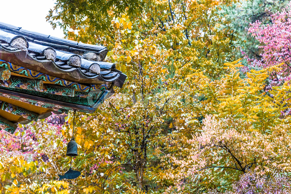 사찰,풍경,추녀,기와,단청,문화유산,한국전통,한국문화,korean traditional,korean culture,건축물,건물외관,exterior,building,structure,architecture,construction