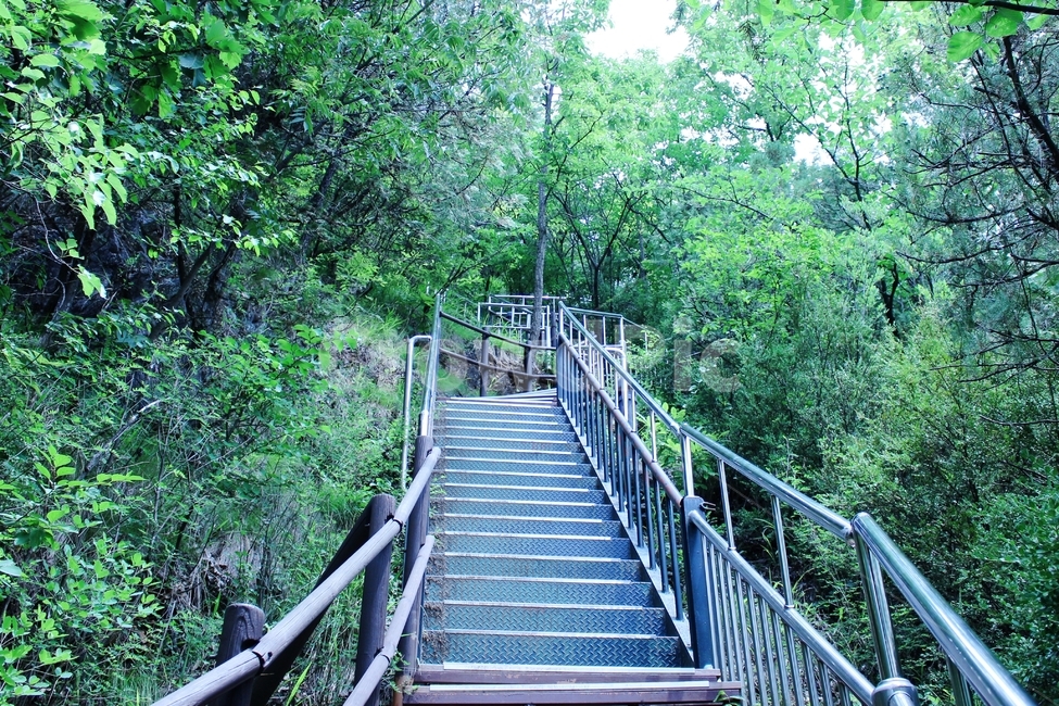 등산로계단,산속계단,등산로,계단,등산계단,산책로계단,산책로입구,등산로입구