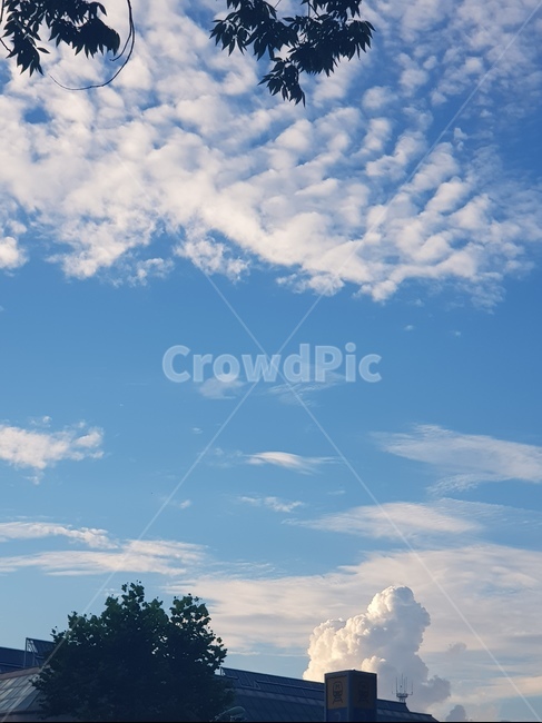 nature,자연,outdoors,옥외,azuresky,푸른하늘,sky,하늘,cloud,구름,뭉게구름