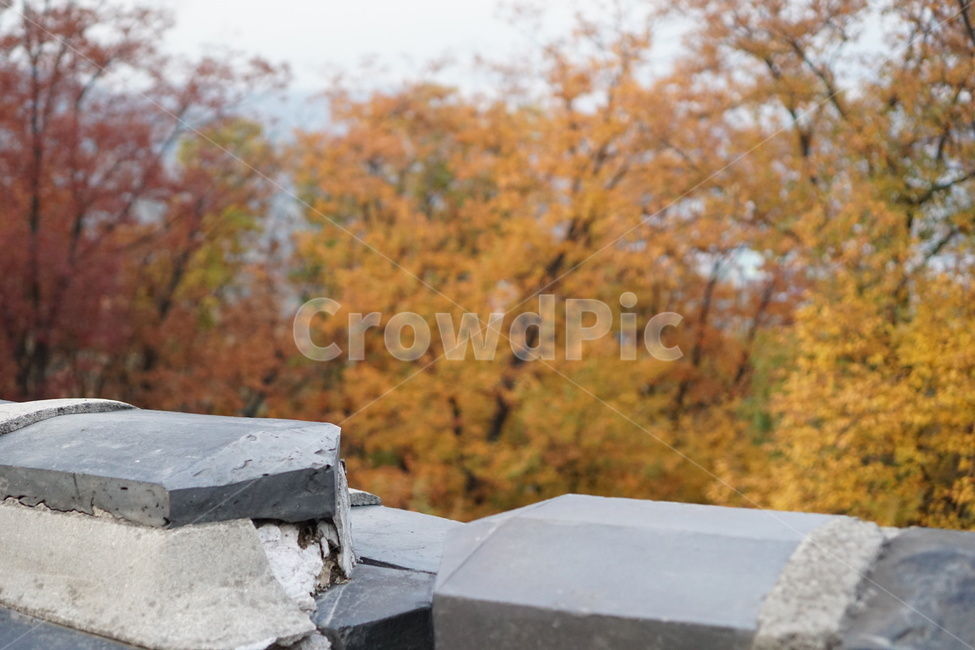 가을산,단풍,낙엽,나무,가을,남한산성,산성,가을,계절,fall,autumn,season,한국전통,한국문화,korean traditional,korean culture