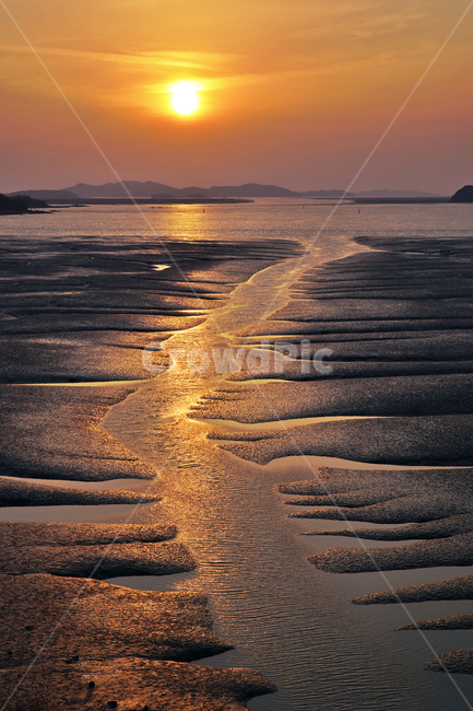 영종도,서해,인천,정서진,갯벌,갯골,바다,썰물,뻘,석양,일몰,자연,풍경,nature,landscape