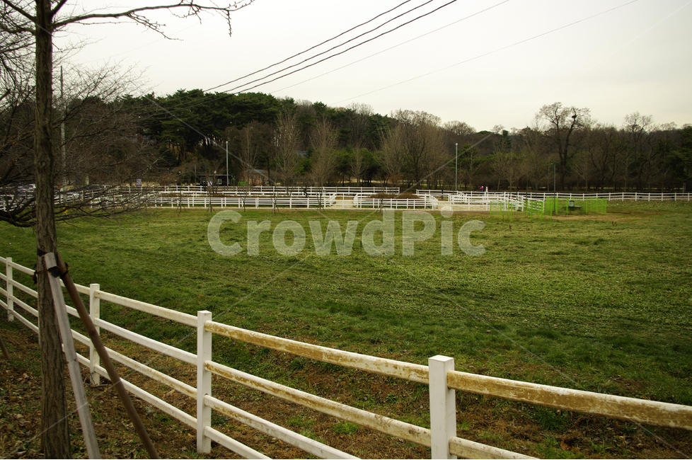 나무,울타리,하늘,겨울,목장,자연,풍경,nature,landscape,field,들,outdoors,옥외,grassland,목초지