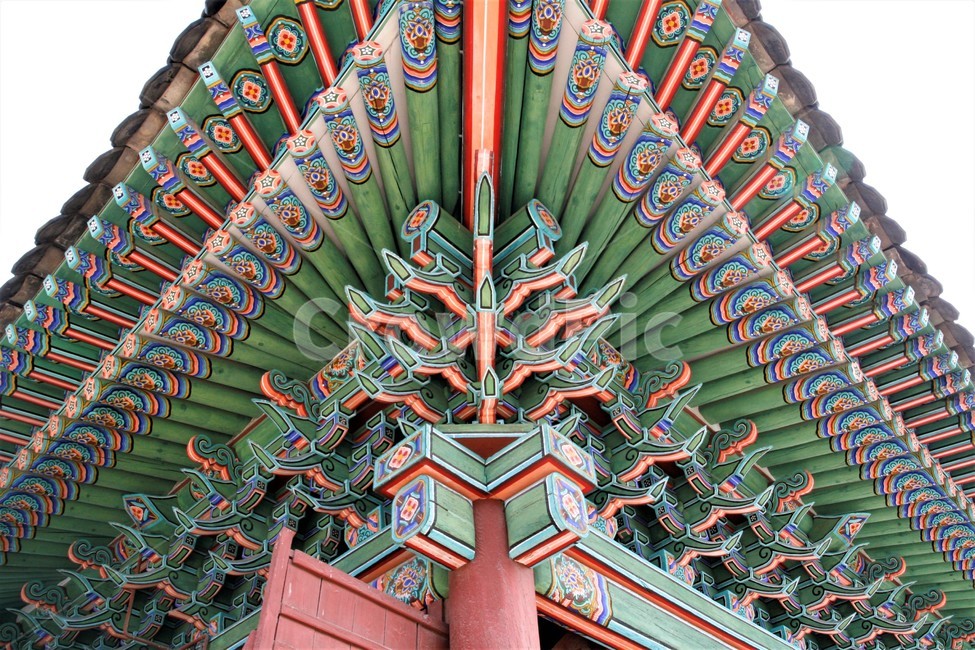 창경궁,전통,고궁,단청,풍경,한국전통,한국문화,korean traditional,korean culture,건축물,건물외관,exterior,building,structure,architecture,construction