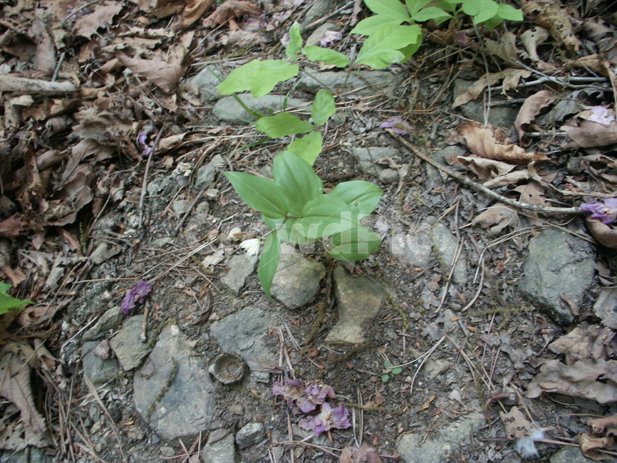 산,바람,낙옆,휴식,그늘