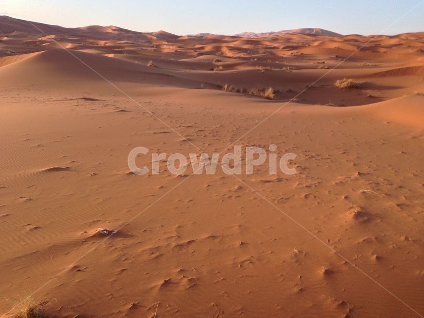 사막,사하라,풍경,여름,모로코,desert,sahara,morocco,summer,자연,풍경,nature,landscape,해외,외국,세계,foreign,oversea,world,세계자연풍경,해외자연풍경,외국자연풍경,world nature landscape,soil,흙,sand,모래,outdoors,옥외