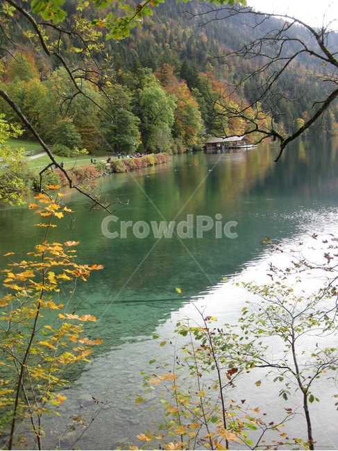 plant,식물,tree,나무,nature,자연,water,물,outdoors,옥외,전나무,호수,낙엽,단풍,lake,에메랄드그린